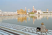 Amritsar - the Golden Temple - the Parikrama, the circuit aroud the Pool of Nectar where Sikh pilgrims bathe.